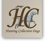 Hunting Collection Dogs